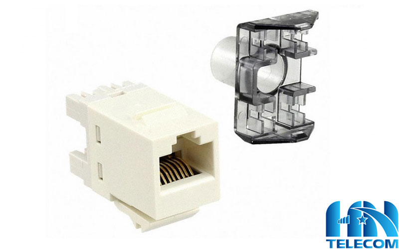 Nhân mạng là gì 