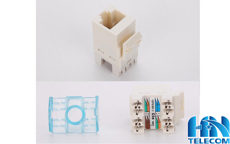 Cấu tạo chi tiết của nhân mạng 