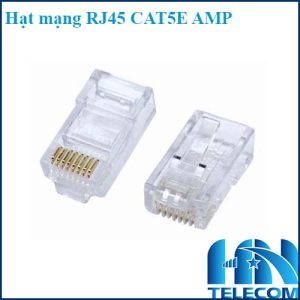 Hạt mạng RJ45 cat5e AMP COMMSCOPE
