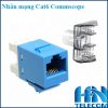 Nhân mạng âm tường cat6 amp commscope