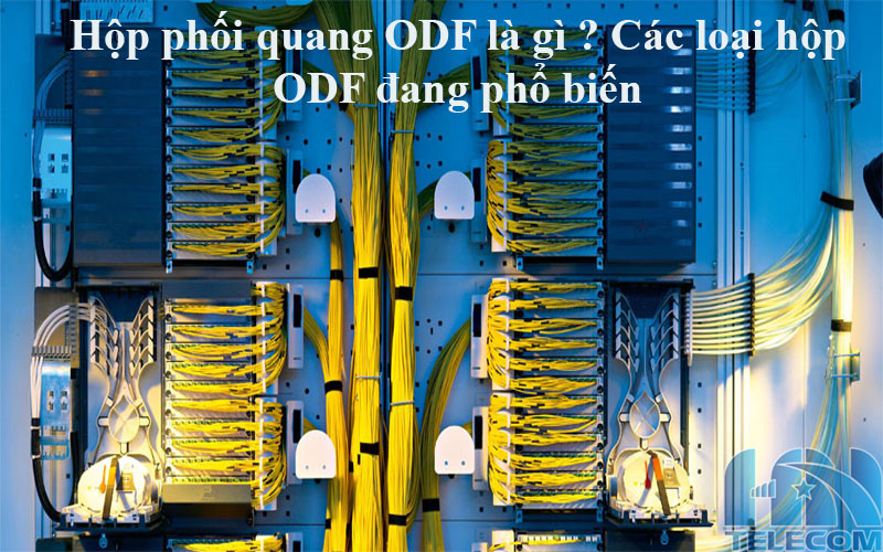 hộp phối quang ODF là gì