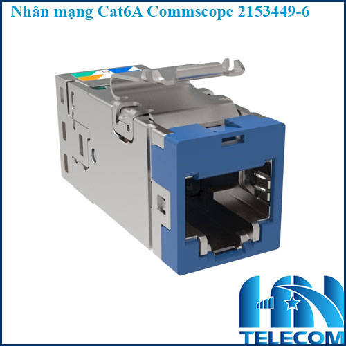 nhân mạng cat6a