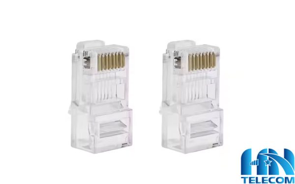giới thiệu sản phẩm Hạt mạng CAT5 Golden Japan