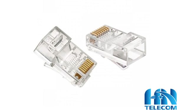 Giới thiệu về hạt mạng CAT6 Golden Japan